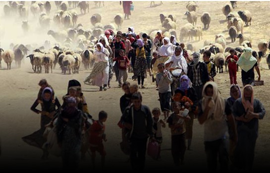 Yazidies de Irak huyen hacia la frontera con Siria. ©REUTERS